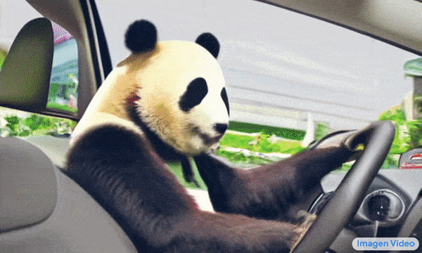a panda bear driving a car