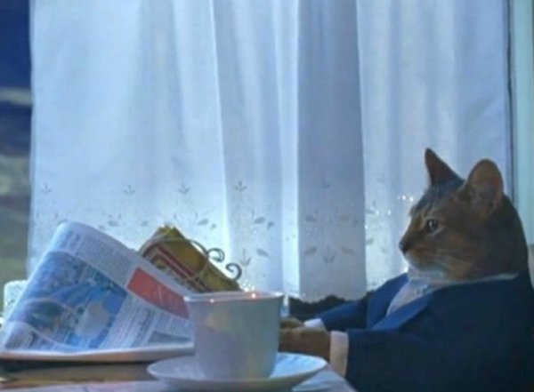 cat wearing a suit reading a newspaper