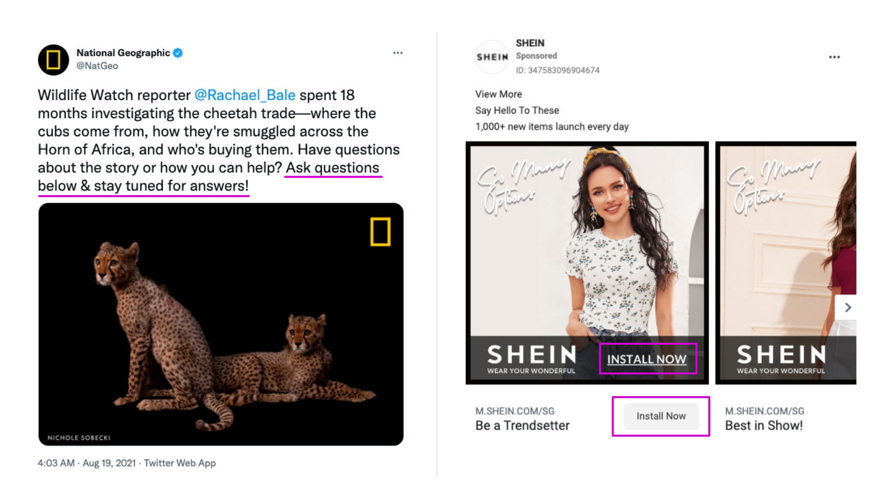 Examples of CTAs used by National Geographic and SHEIN.